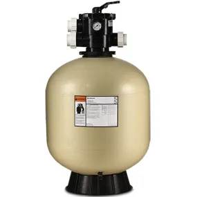 Pentair Tagelus TA100D Top Mount Sand Filter EC-145240